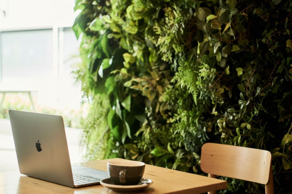 Site Internet La Rochelle