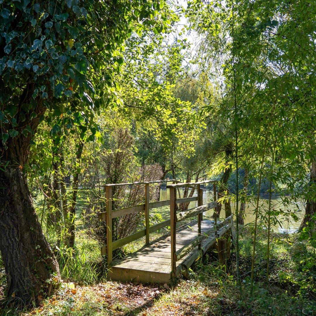 Domaine des Terres Sauvages