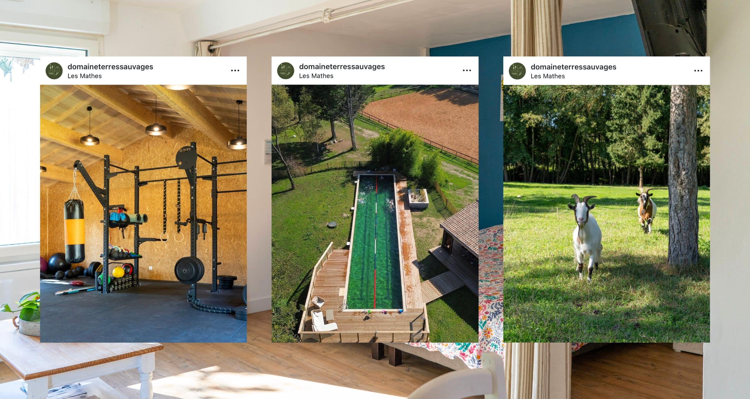 Domaine des Terres Sauvages